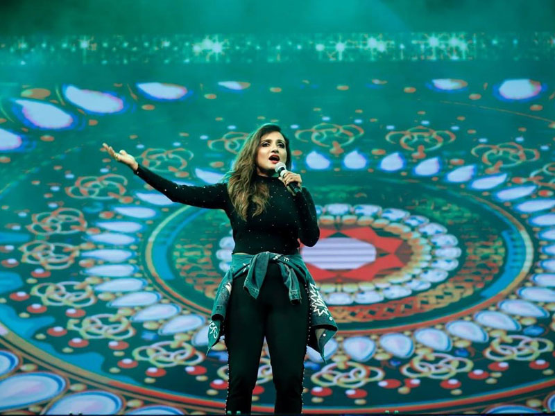 Artist performing on stage